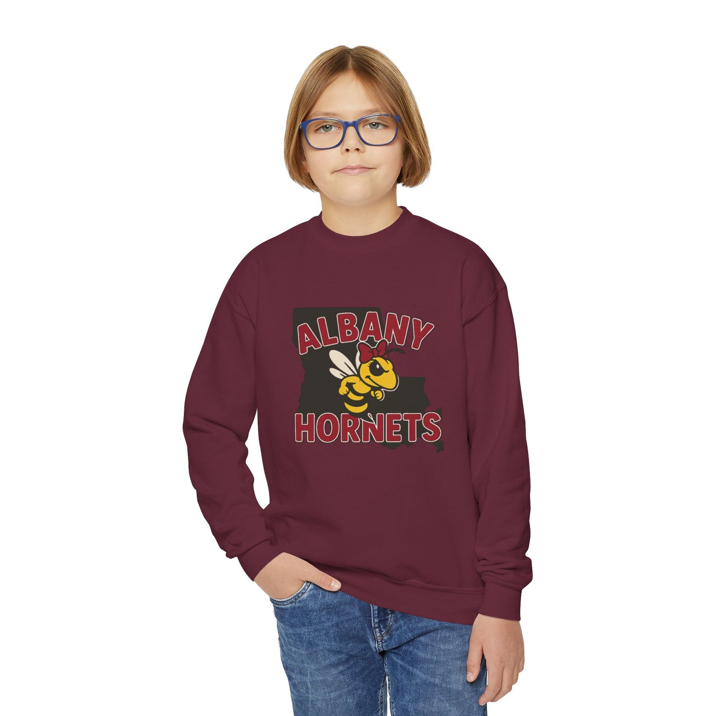 Albany Hornets with bow, girls Youth Crewneck Sweatshirt, School Spirit Wear, Youth Apparel, Team Gear, Gift for Students, Comfortable & Stylish
