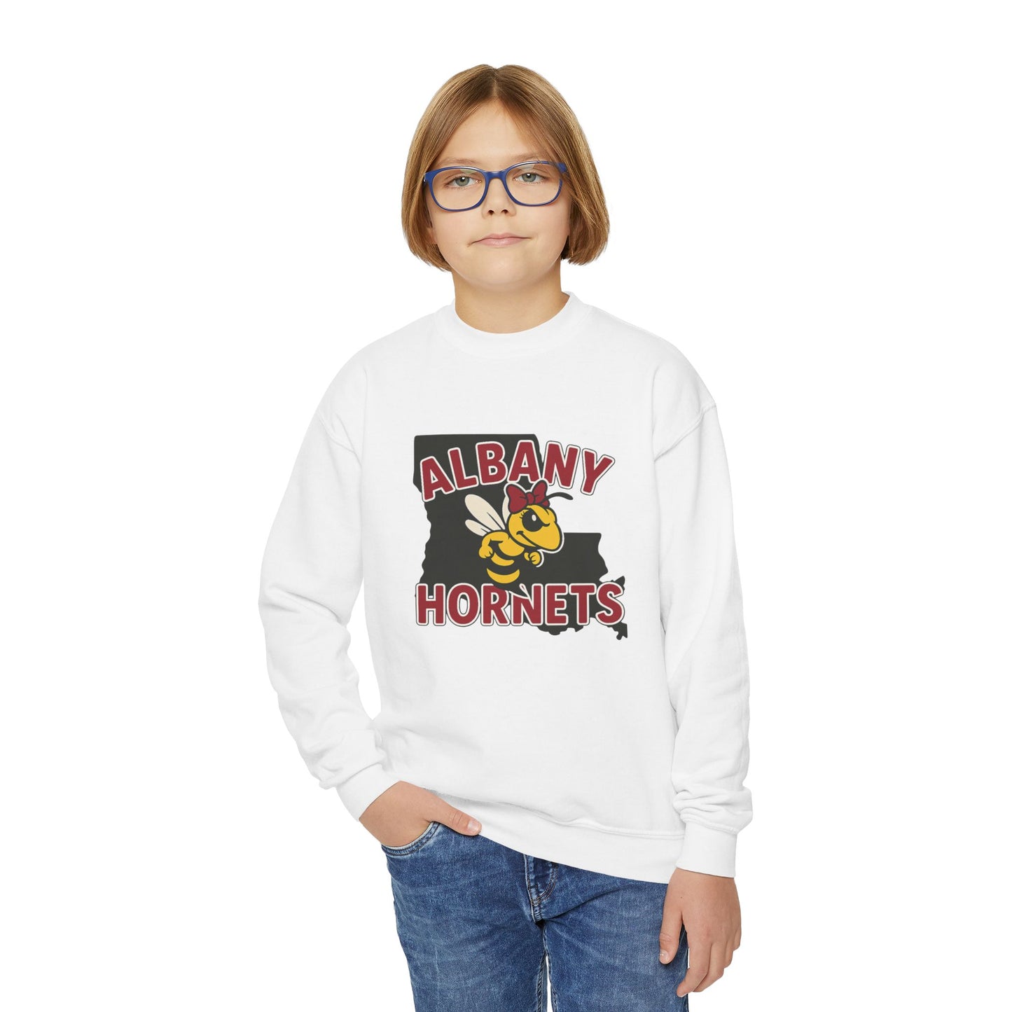 Albany Hornets with bow, girls Youth Crewneck Sweatshirt, School Spirit Wear, Youth Apparel, Team Gear, Gift for Students, Comfortable & Stylish