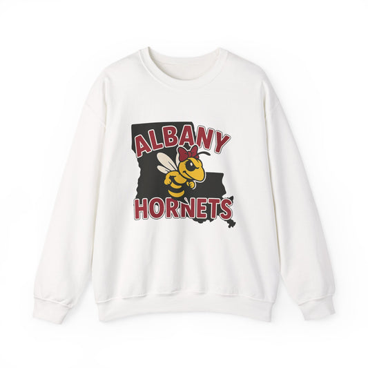 Albany Hornets with bow adult Crewneck Sweatshirt, Unisex Apparel, School Spirit Wear, Gift for Students, Cozy Sweatshirt for School Events